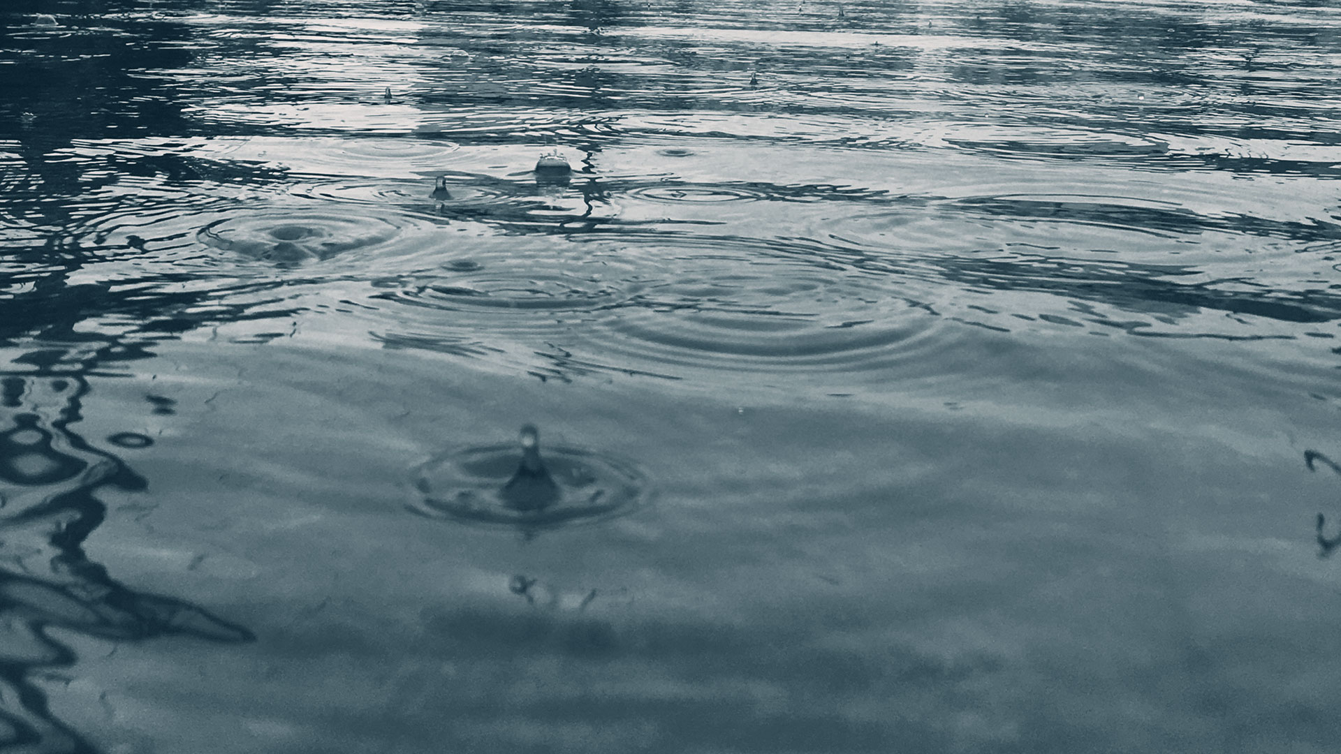 National Flood Forum Bgimage